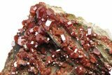 Deep Red Vanadinite Crystals on Barite - Morocco #233084-2